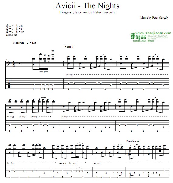Avicii - The Nightsָ