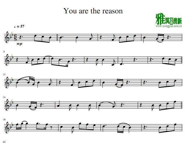 You are the reason˹