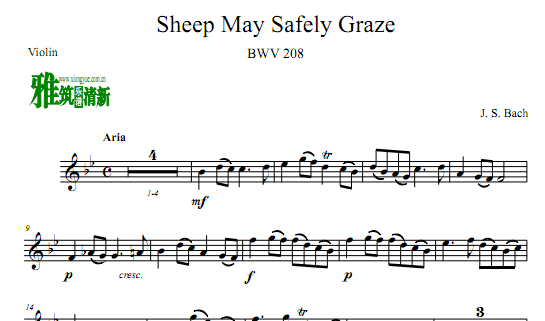 ͺ Sheep May Safely Graze BWV 208 ڰسԲС