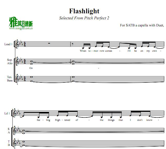 Flashlight1