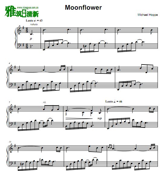 Michael Hoppé - Moonflower