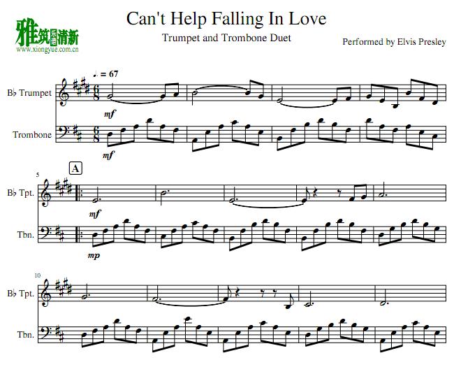 Can't Help Falling in Love СųŶ