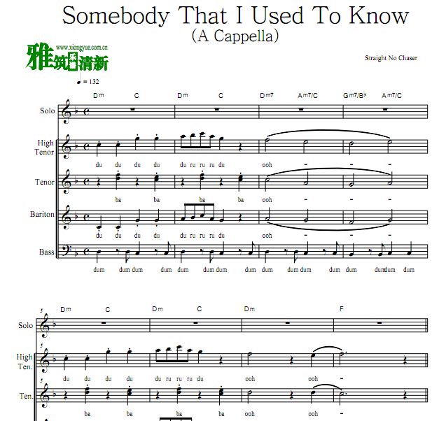 Straight No Chaser ϳ - Somebody That I Used To Know