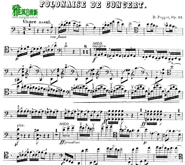 ֻᲨPopper Concert Polonaise, Op. 14