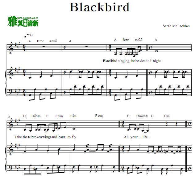 ɽķӰ Blackbirdٰ ԭ