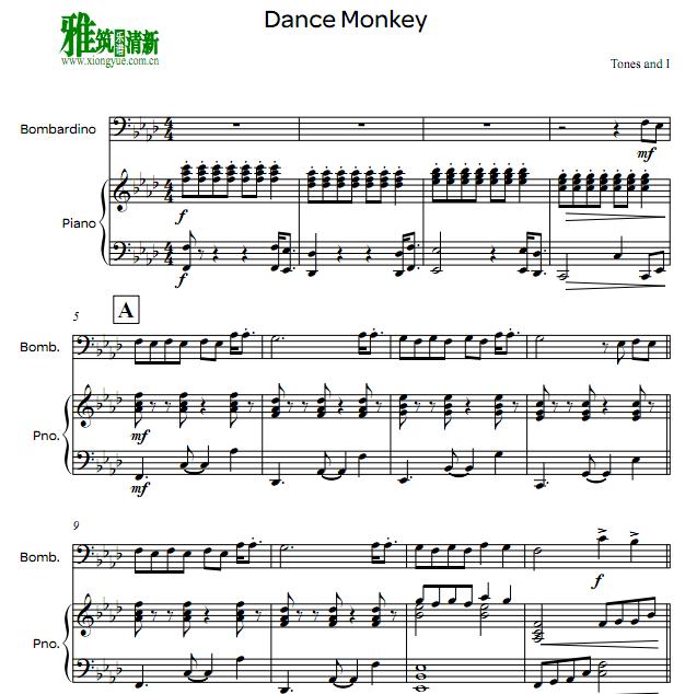 dance monkey ƷŸٰ