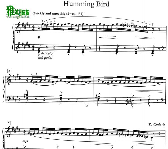 William Gillock - Humming bird