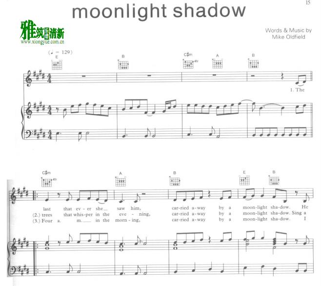 mike oldfield - moonlight shadow