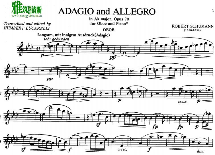   R.Schumann Adagio and Allegro ˫ɹ