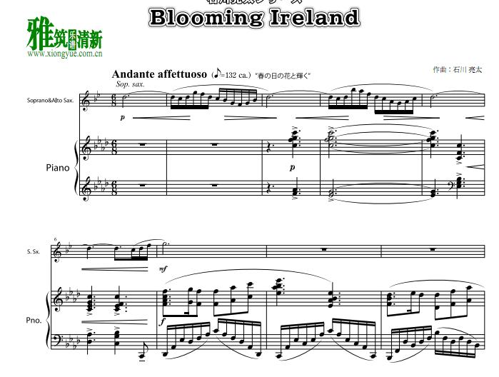 ʯ̫ blooming ireland ˹ٰ