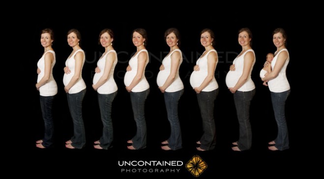 pregnancy time lapse